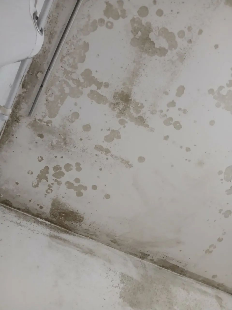 Preciso de uma pessoa para limpar o teto e parede e um quarto e uma sala! 