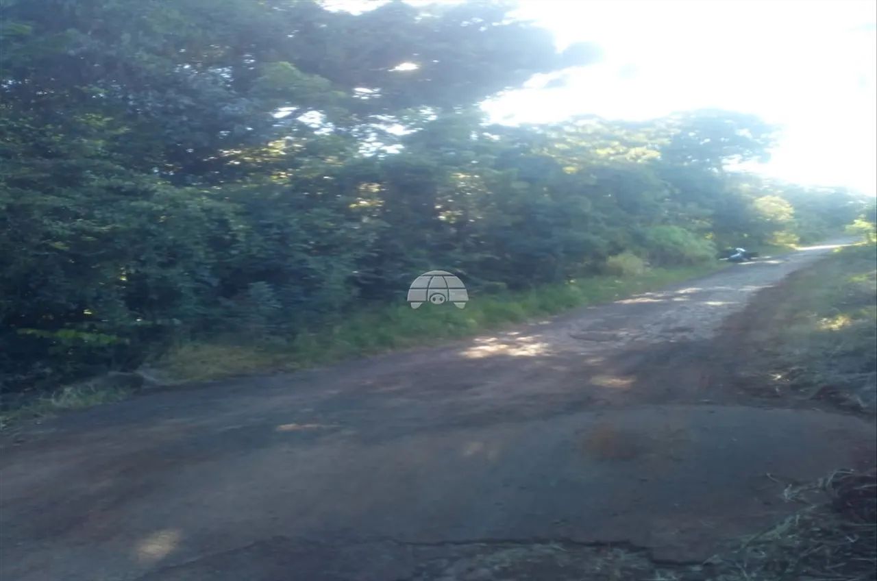 Vendas Terreno Coronel Vivida PR - Foto 3