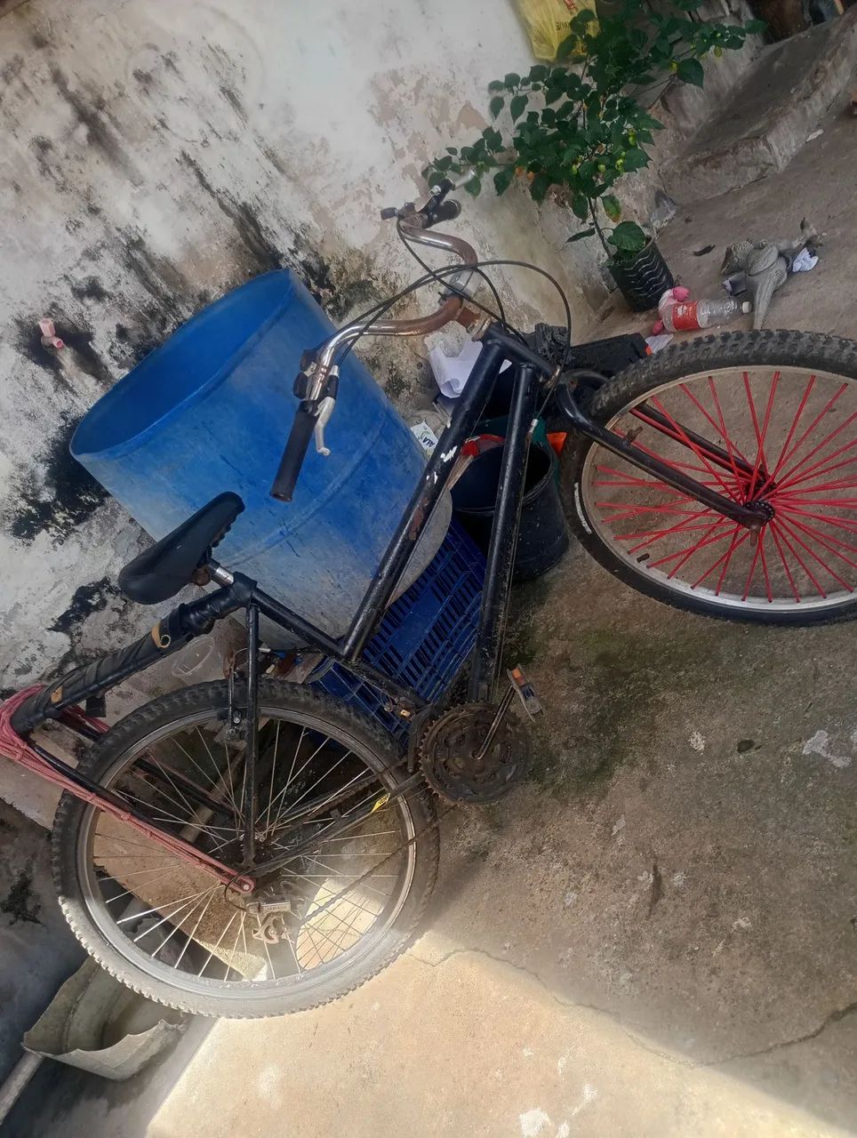 Bike  - Foto 2