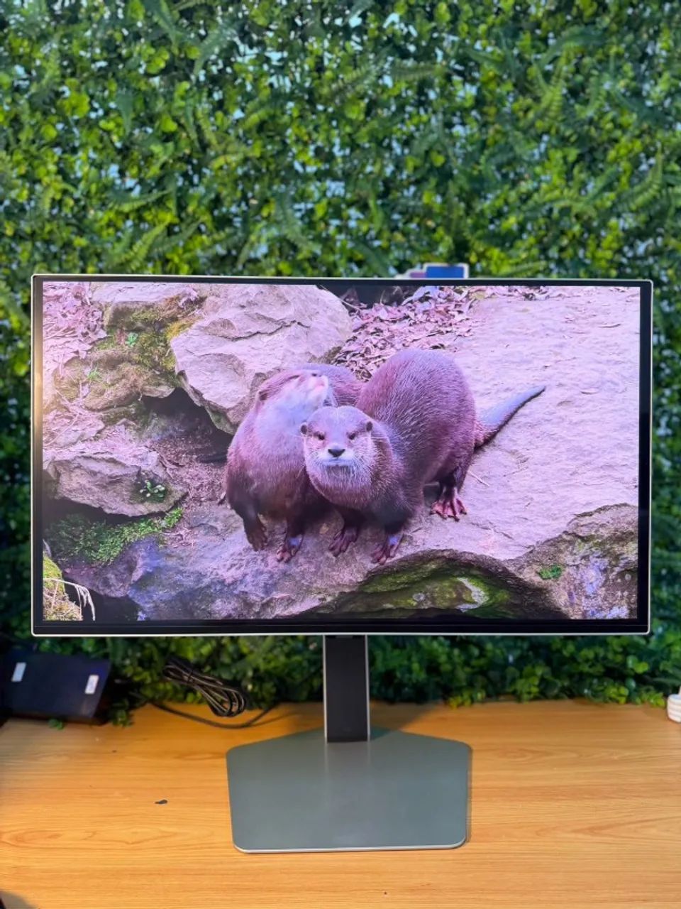 Monitor Samsung Odyssey  27 Polegadas 500Hz  Modelo: LS27DG600SLXZD   OLED G6 G60SF  QHD  