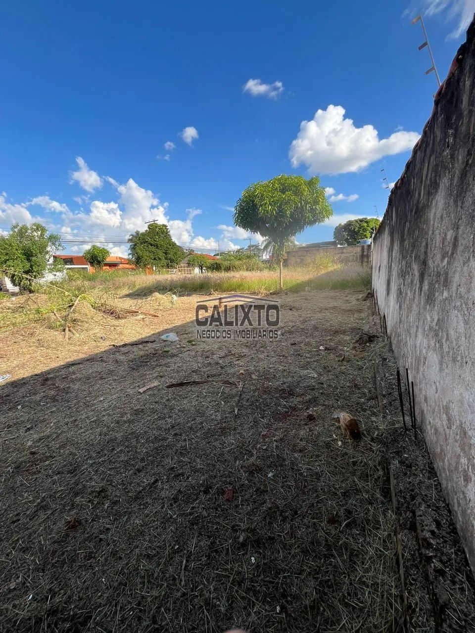 TERRENO BAIRRO ACLIMAÇÃO - Foto 5