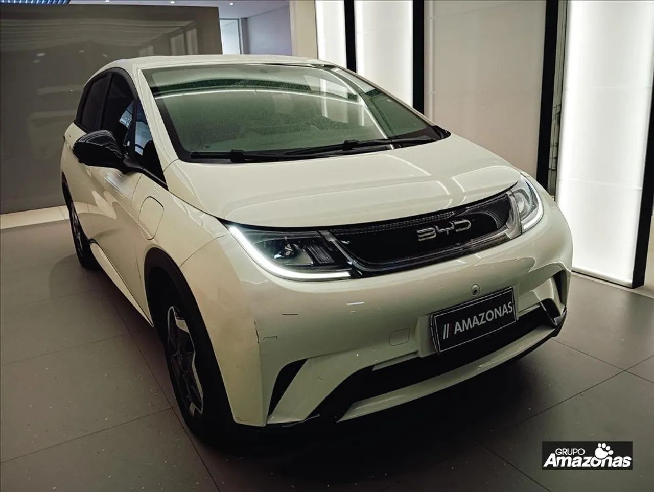 BYD Dolphin EV (Elétrico) 2024 - Foto 2