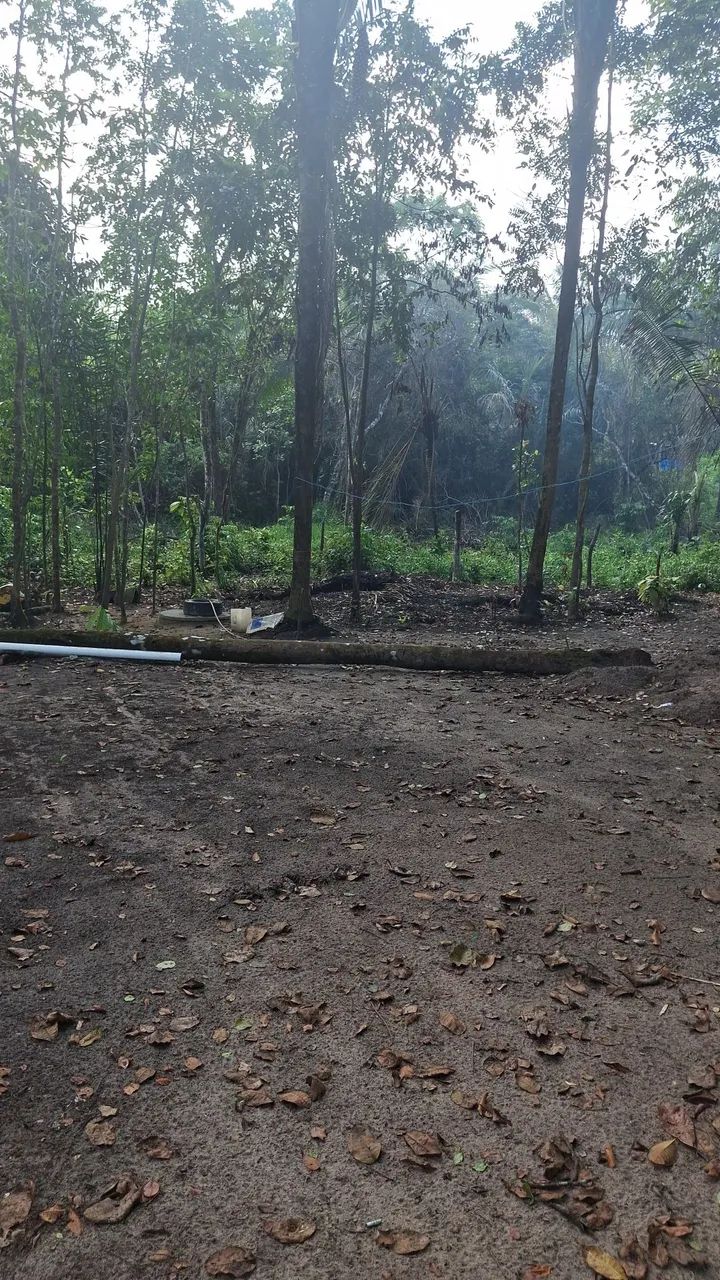 Terreno em Barreirinhas no são Roque - Foto 3
