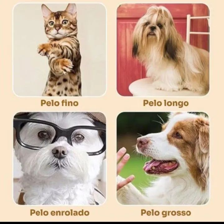 Kit máquina para tosar pet+tesoura+pente+lixa  - Foto 3