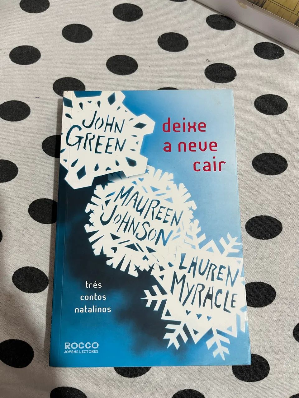 Livro deixe a neve cair