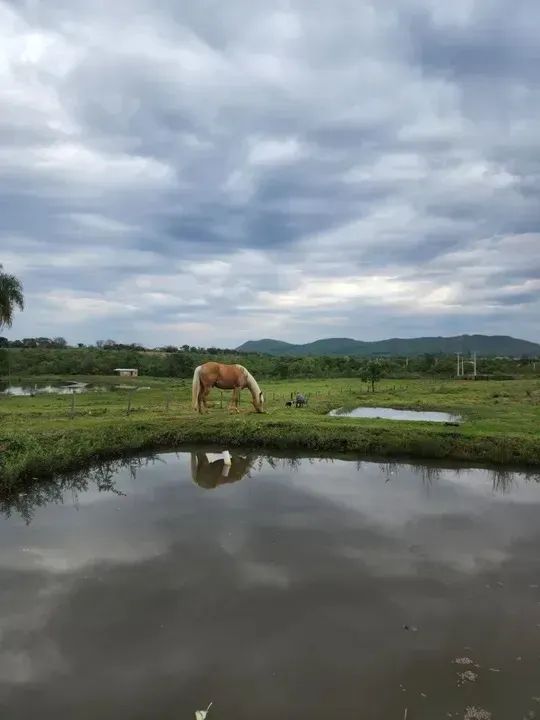 Sitio em Palmeras/MS - Foto 2