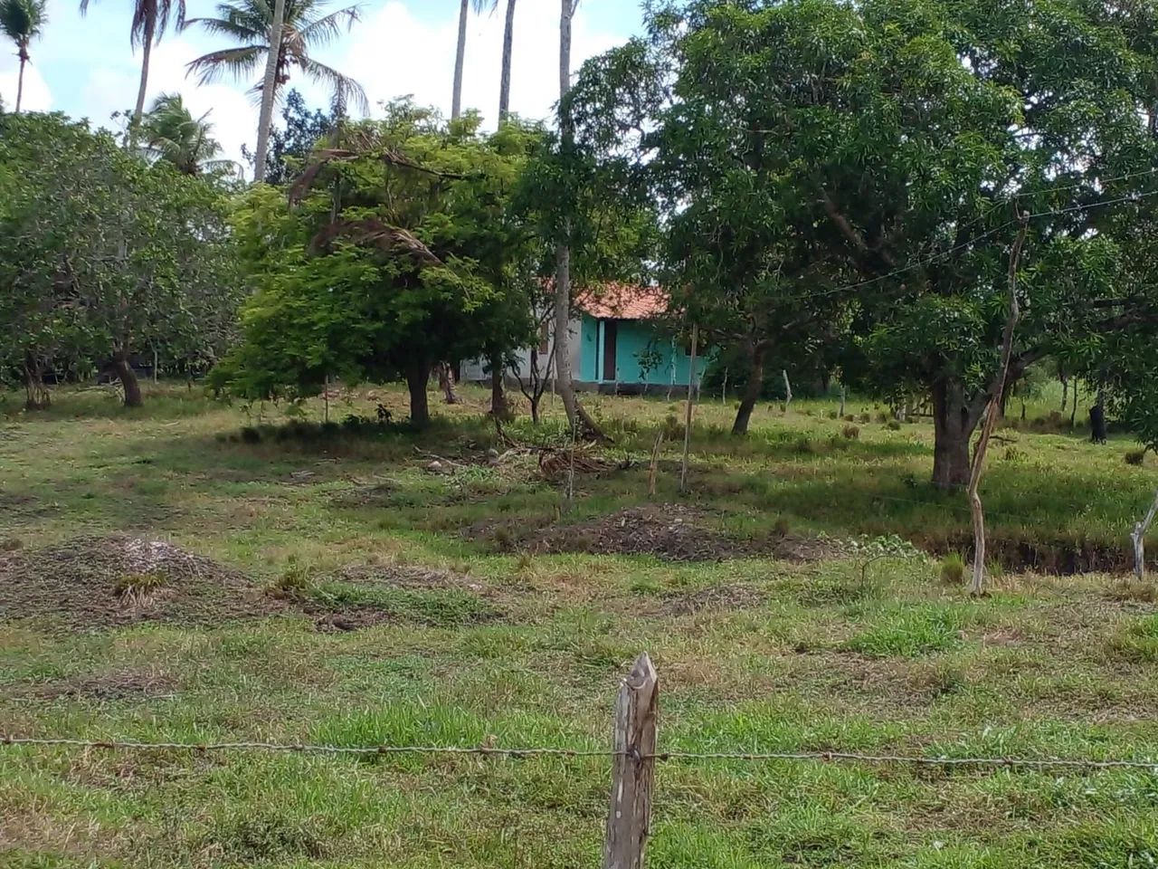 Chácara  - Foto 4
