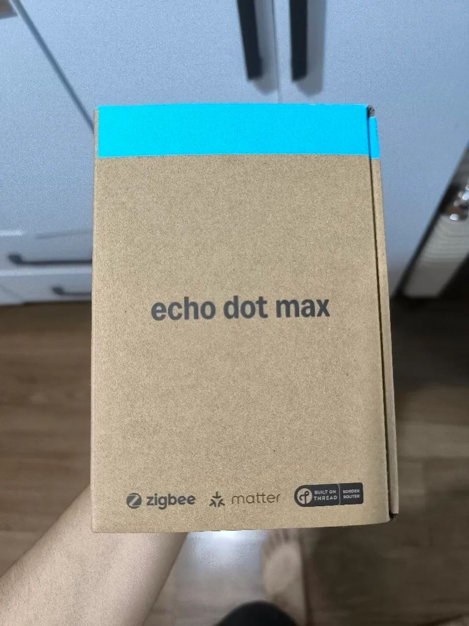 echo dot max alexa