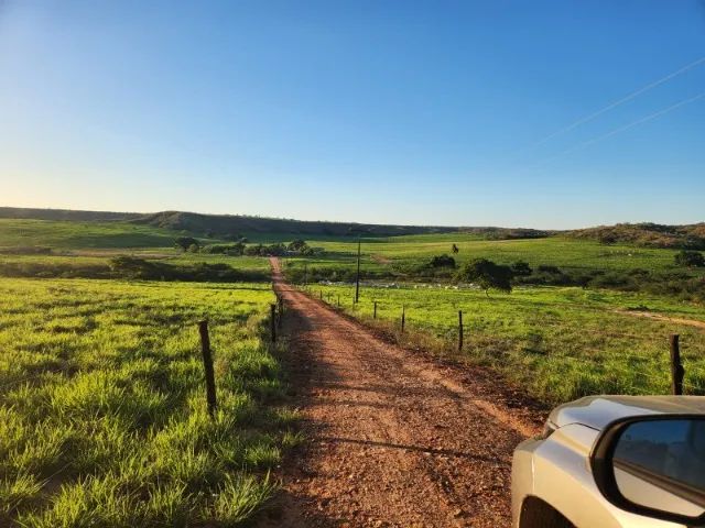 FAZENDA PRONTA ITAPICURU/BA - 670HA