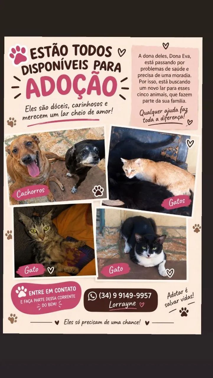 Doação dos animais 