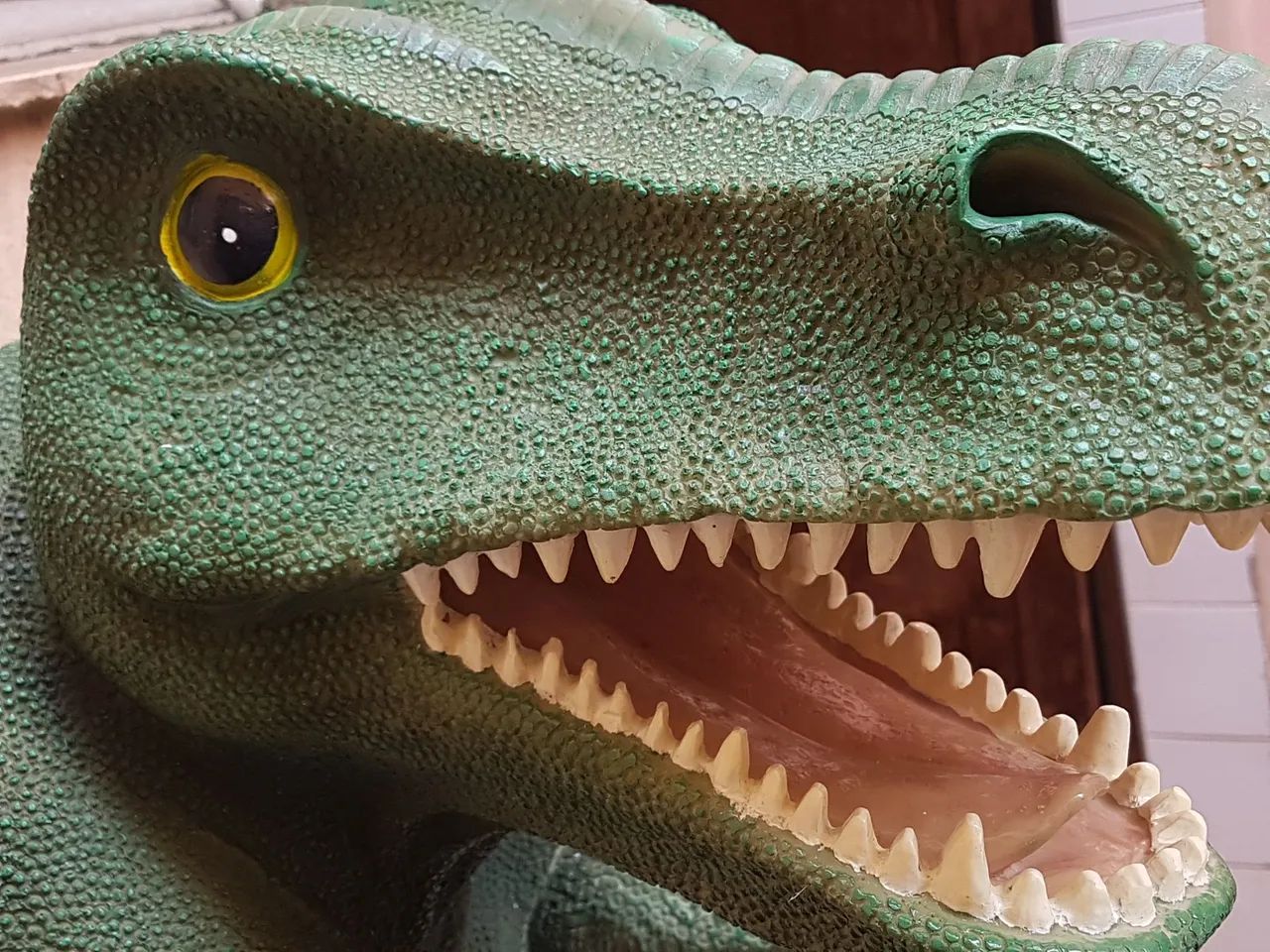 Dino - cabeça de dinossauro. - Foto 2