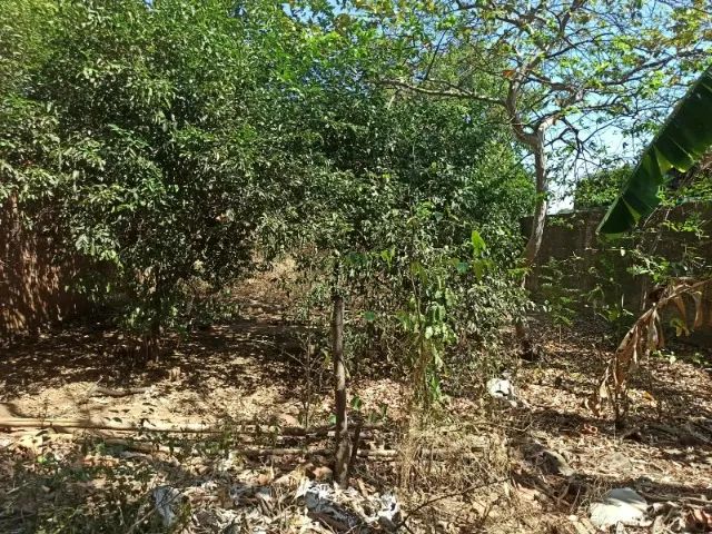 Terreno Vila Operaria 400m2 - Foto 4