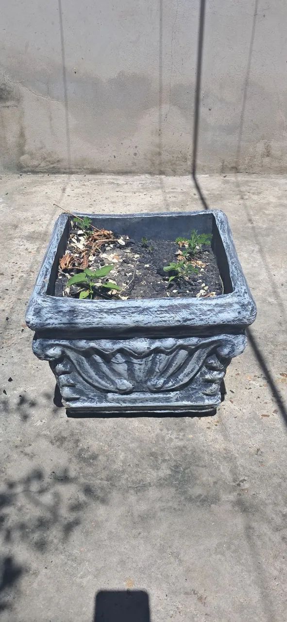 Vaso de planta