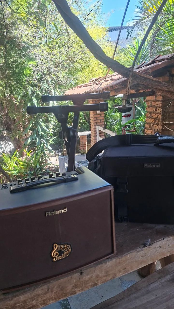 Amplificador Roland AC-60