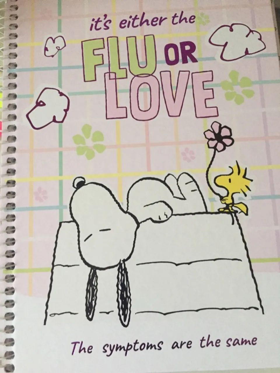 Caderno snoopy 