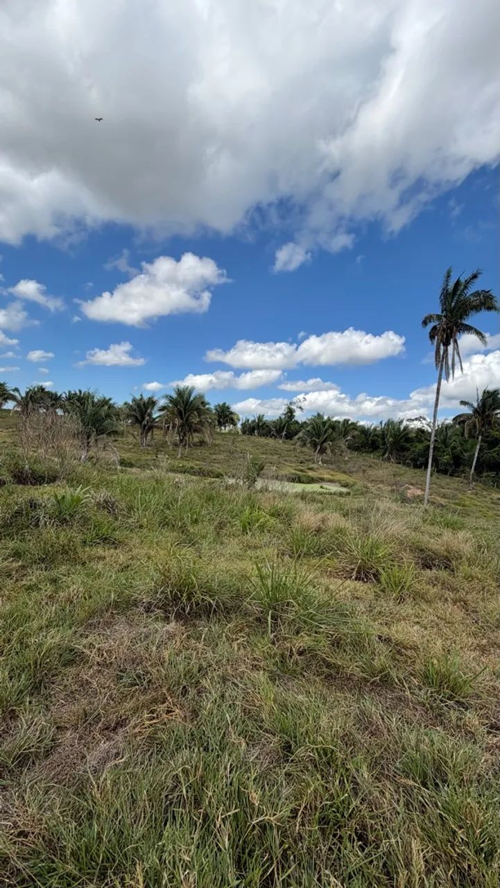 Vende-se Chácara de 6 Alqueires 