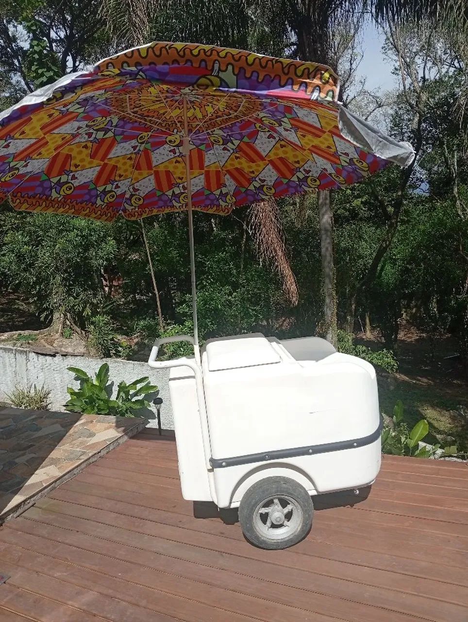 Carinho térmico 2500,00  - Foto 2