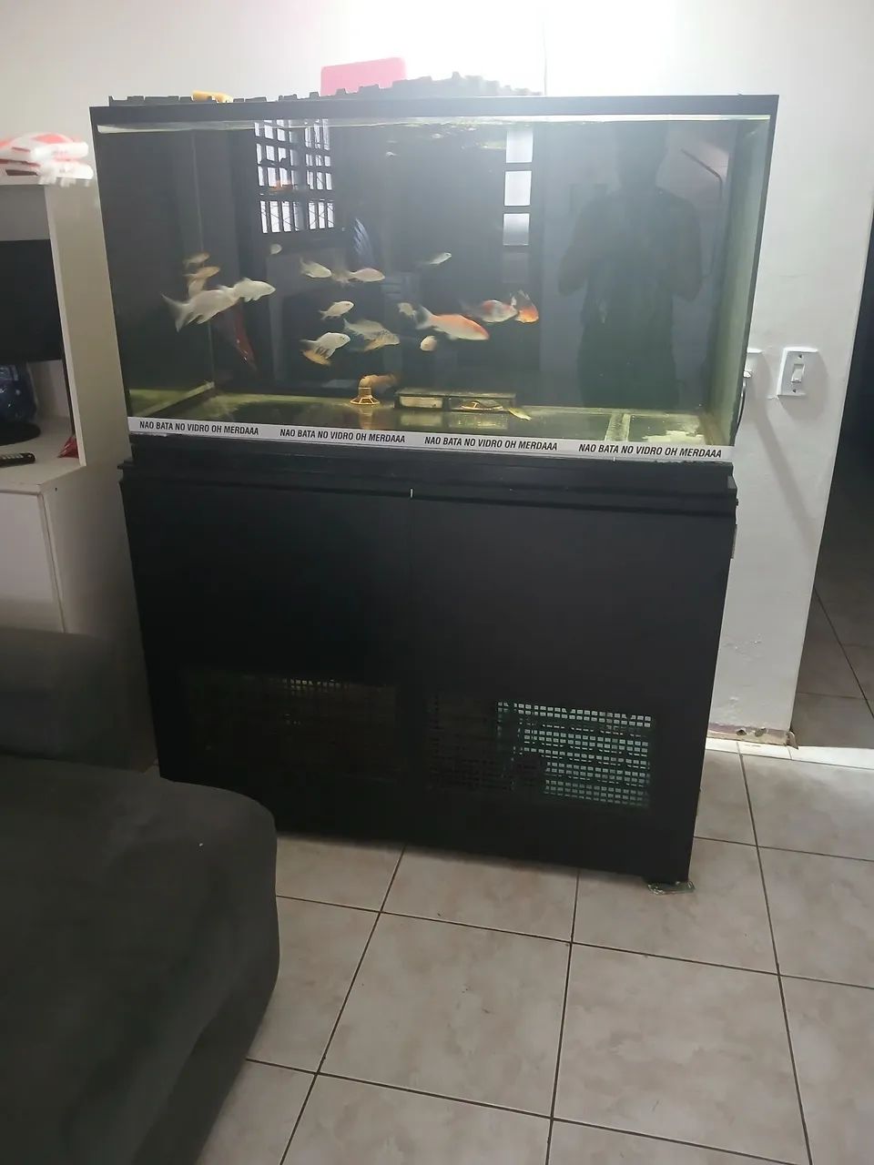 Aquario grande 120×60×60 - Foto 2