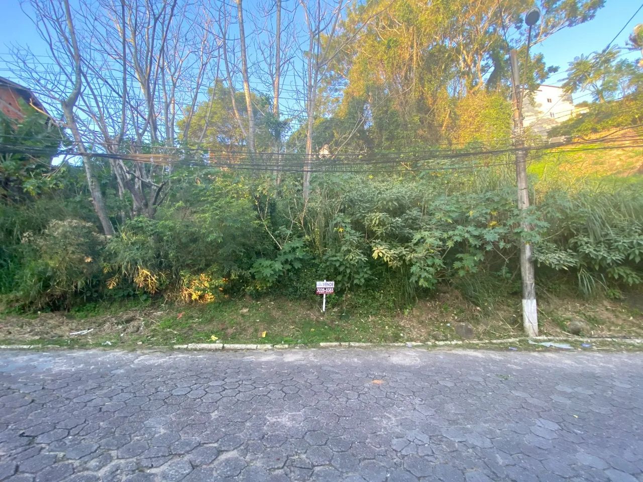 Terreno de 480m² no bairro Saco Grande - Foto 2