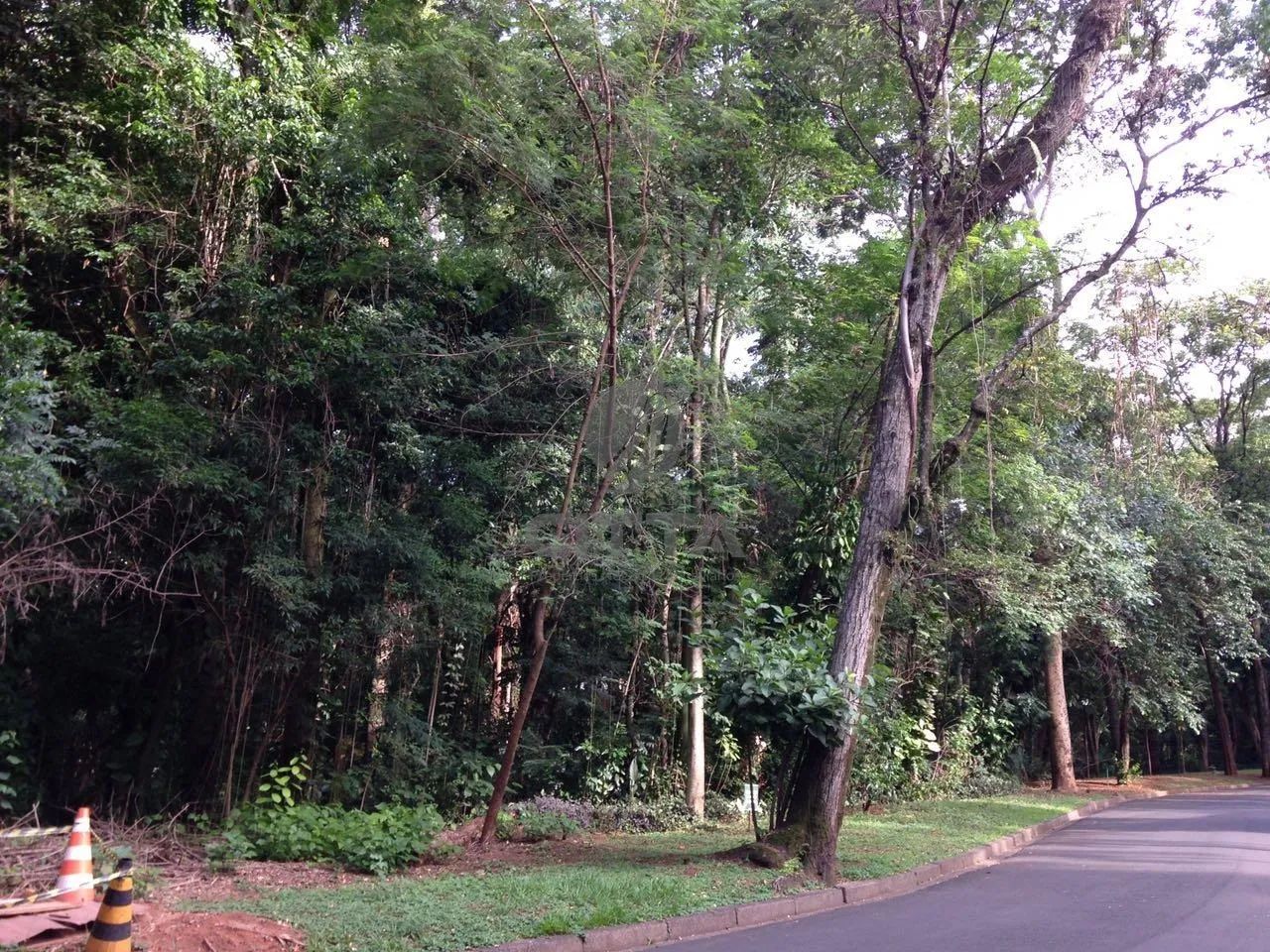 terreno - Parque São Quirino - Campinas - Foto 5