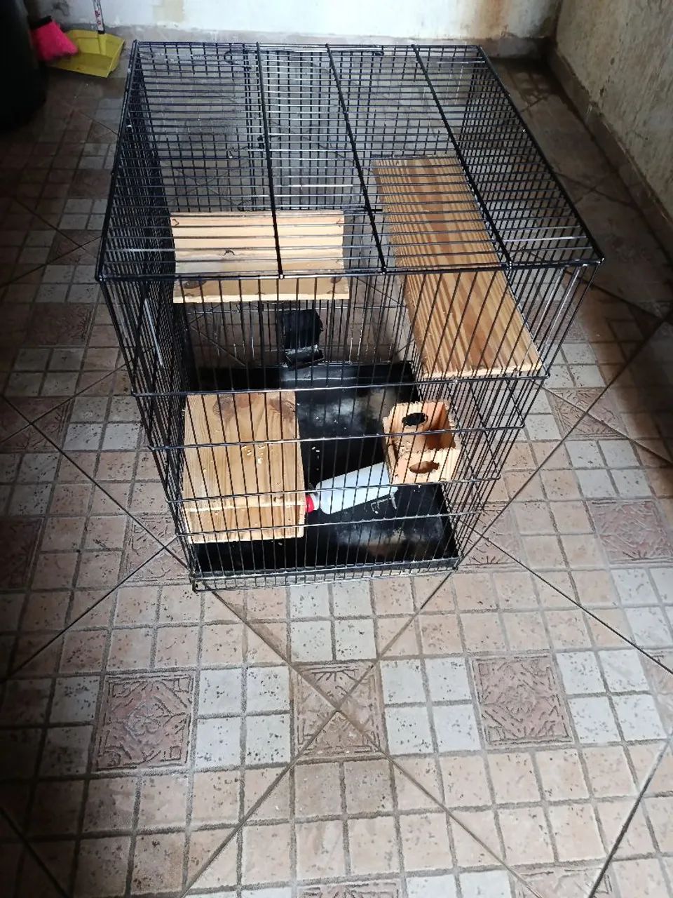 Gaiola  - Foto 4