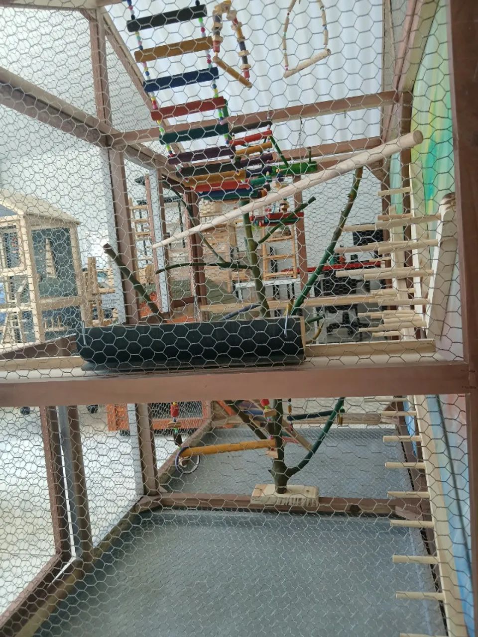 vivero de pasaros - Foto 4