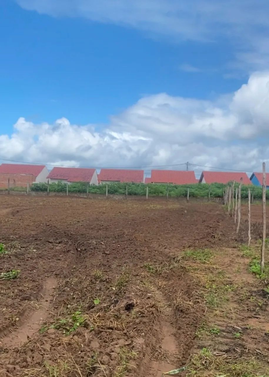 Oportunidade  na cidade de São Sebastião Alagoas 