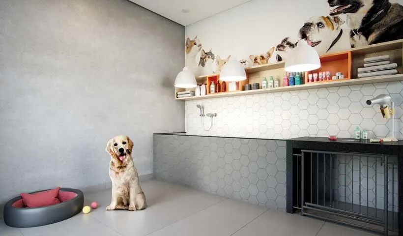 DREAM VIEW SKY RESORT - FASE 1 - Foto 4