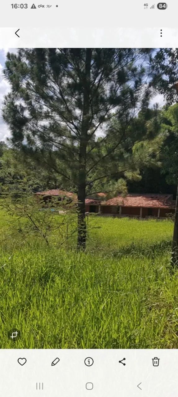 Vendo uma chácara 20.150m2 - Foto 3