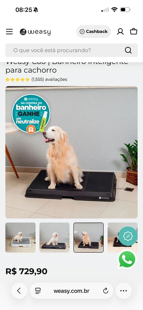 Weasy Dog G