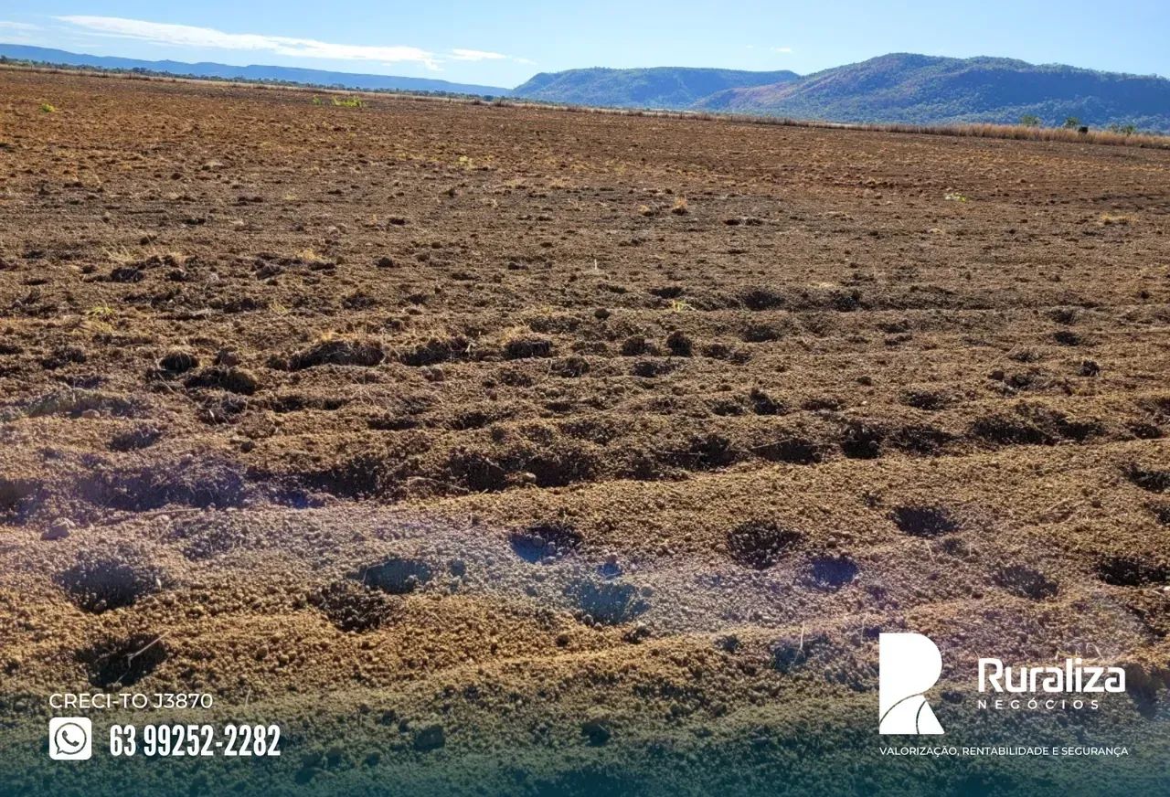 Fazenda a venda em Brejinho de Nazaré | Argilosa | Curral para 1.000 cabeças - Foto 2