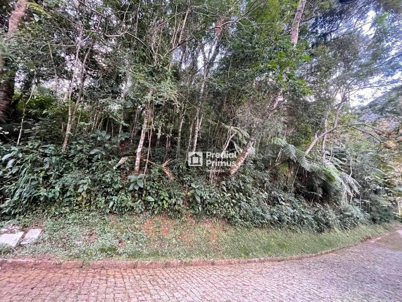 Terreno com RGI , 2345 m² à venda por R$ 350.000 - Mury - Nova Friburgo/RJ - Foto 4