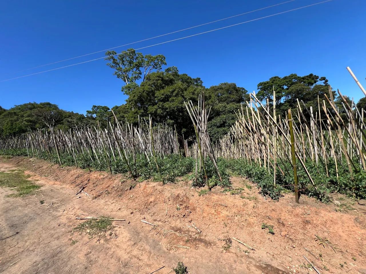 Terreno  pedra vermelha  - Foto 4