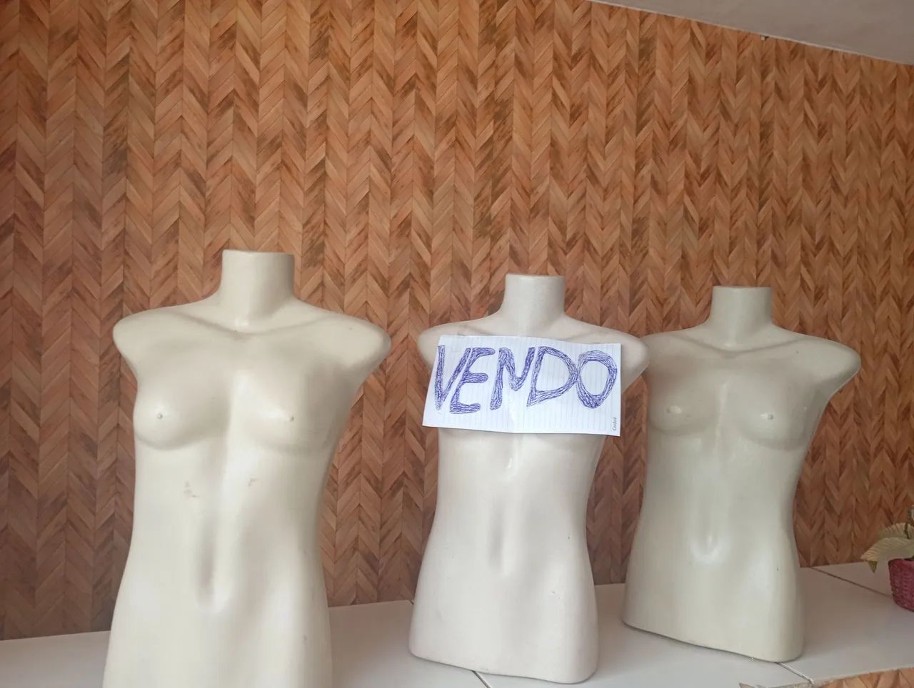 Busto manequim 
