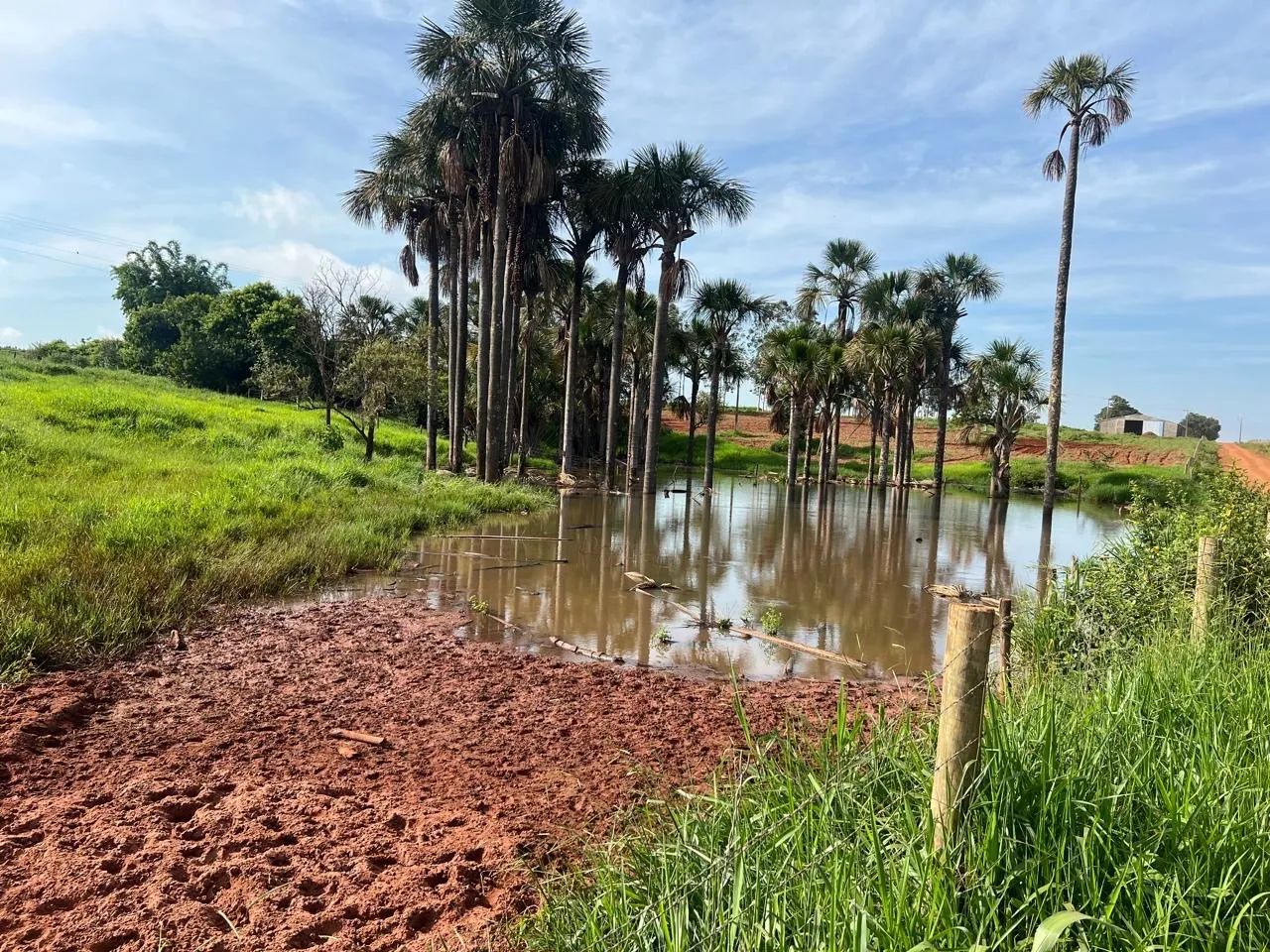 Fazenda com confinamento Uberlandia  - Foto 3