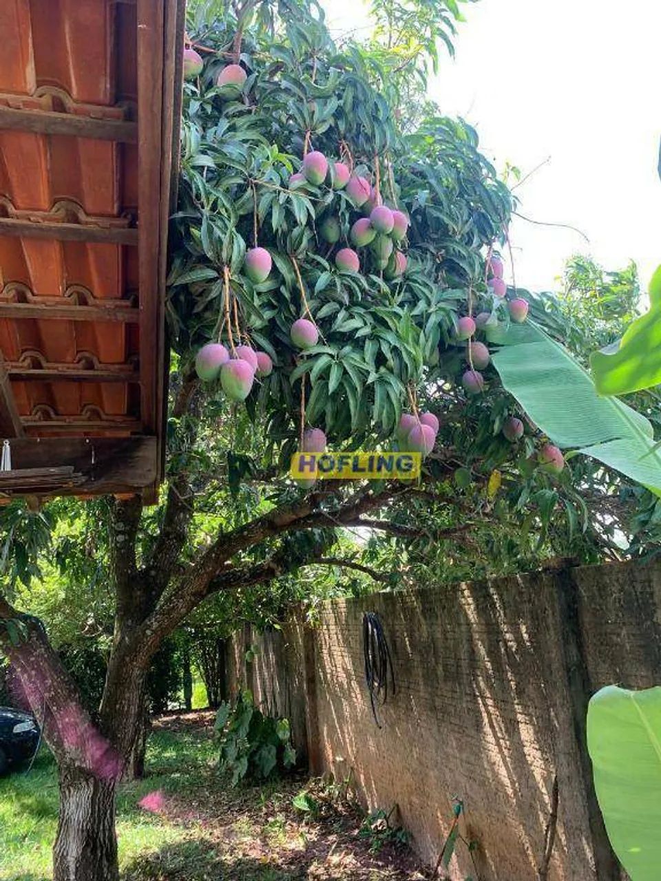 Chácara com 3 dormitórios à venda, 1056 m² por R$ 900.000,00 - Condomínio Portal dos Nobre - Foto 5