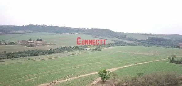 Fazenda à venda, Descalvado, SP - Foto 5