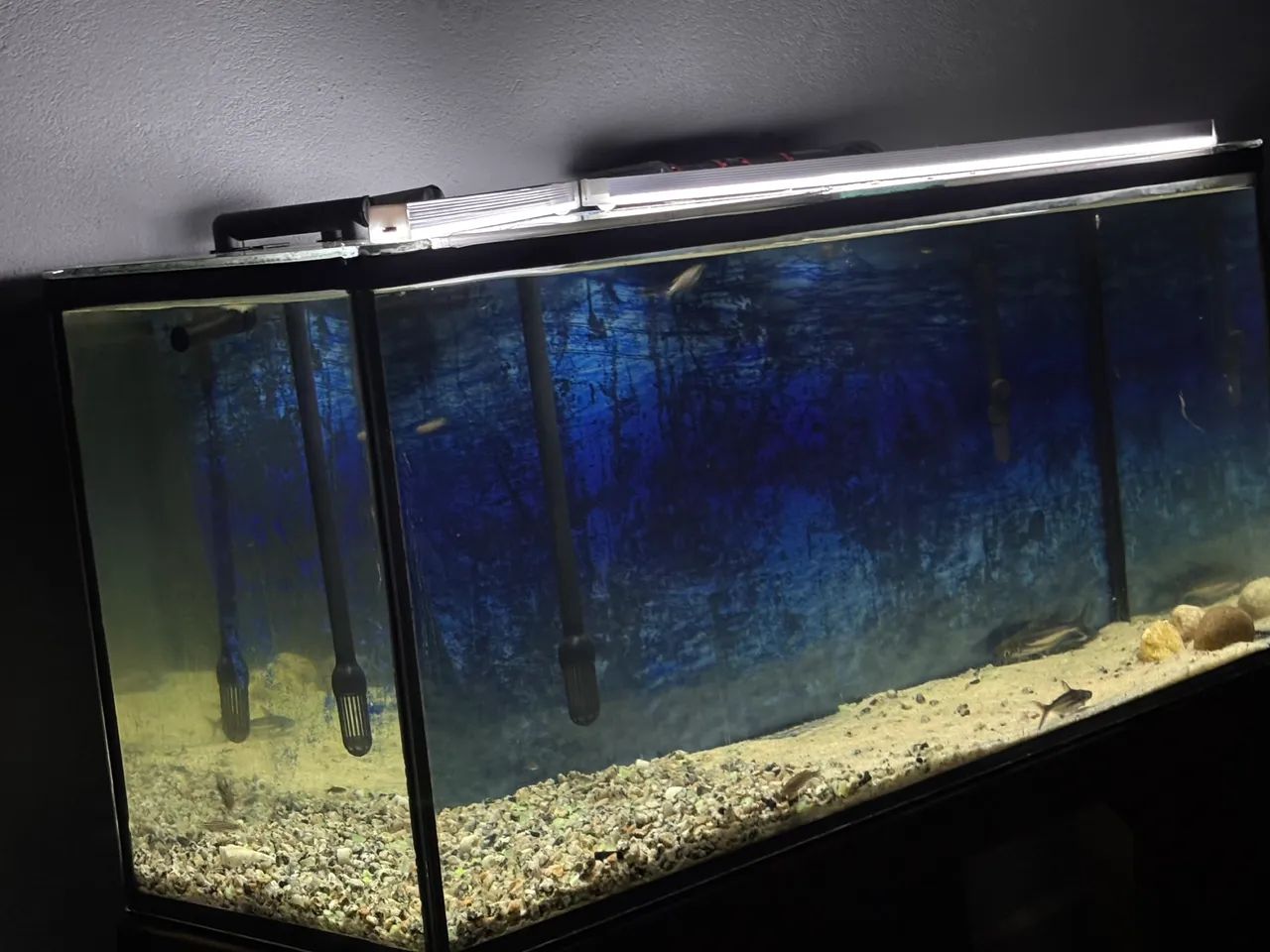 Aquário 120l - Foto 4
