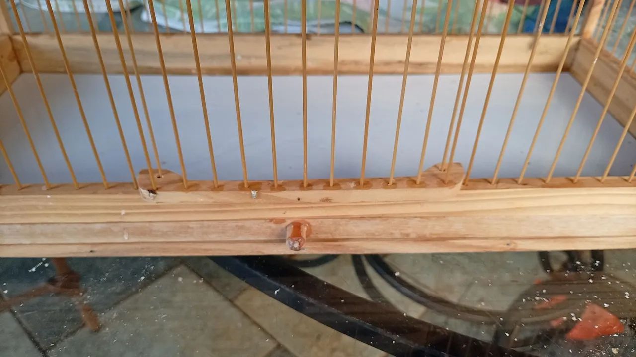 Gaiola - Foto 3