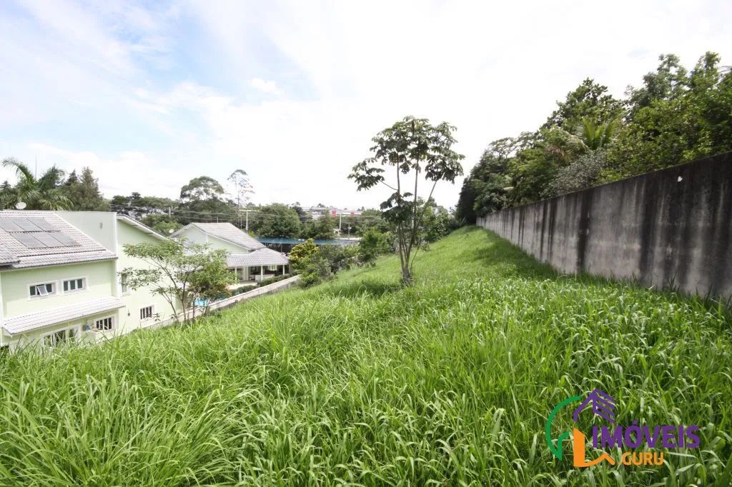 TERRENO - TAMBORÉ - SP - Foto 4