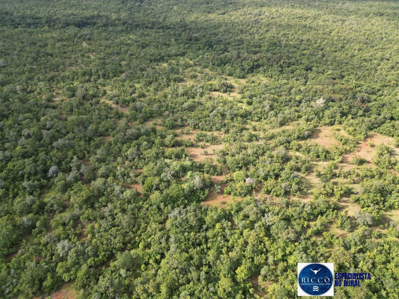 Fazenda à Venda  254 Alqueires na região de Alvorada do Tocantins - Foto 4