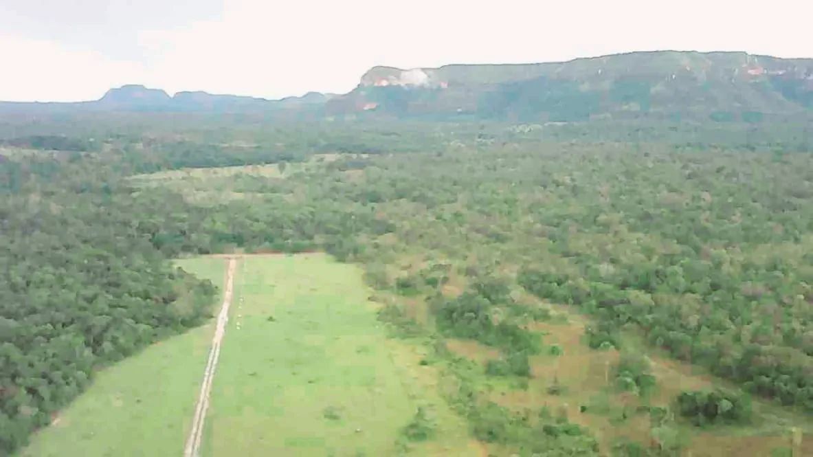 Fazenda no Tocantins  - Foto 5