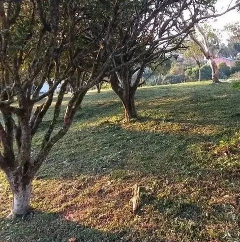 TERRENO A VENDA ( BARRAGEM- PARELHEIROS) - Foto 3