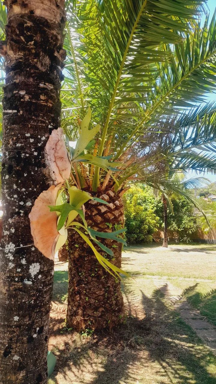 Casa na praia de Tucuns em Buzios  - Foto 9
