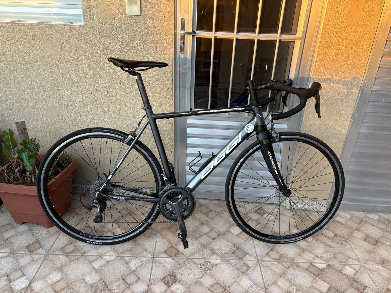 Speed Oggi Stimolla