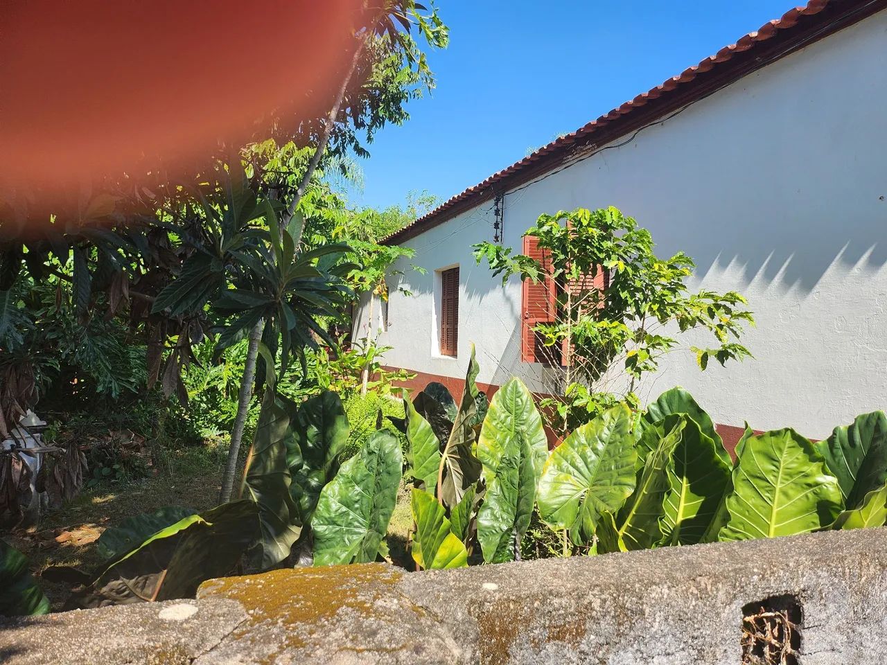 Chácara linda em área nobre  - Foto 4