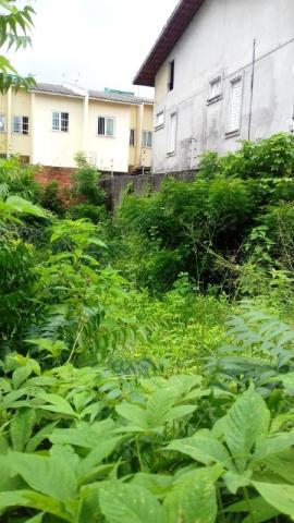 Terreno para aluguel, 12 vagas, maraponga - fortaleza/ce - Foto 4