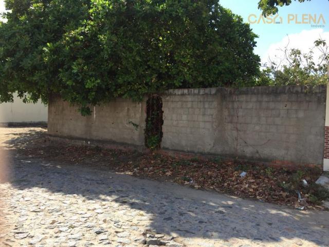 Terreno em ótima localização documentação perfeita - Foto 3