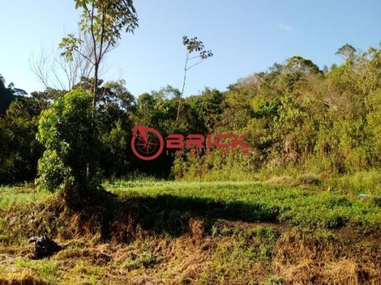 Sítio em teresópolis com cachoeira, nascente, terra para plantação e árvores frutíferas. - Foto 16