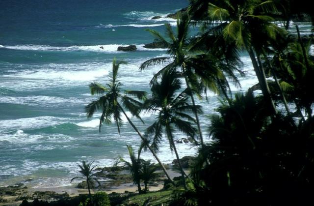 Havaizinho - praia famosa no sul da Bahia - Foto 7